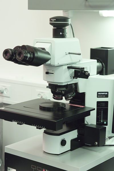 File:Tool Olympus BX51M.jpg